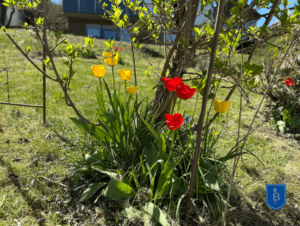 Garten
