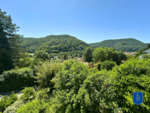 Blick von der Terrasse